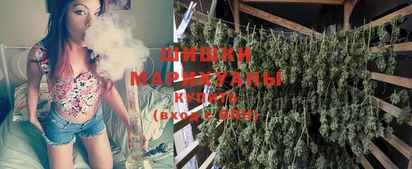 индика Балахна