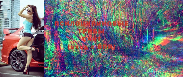 бошки Баксан