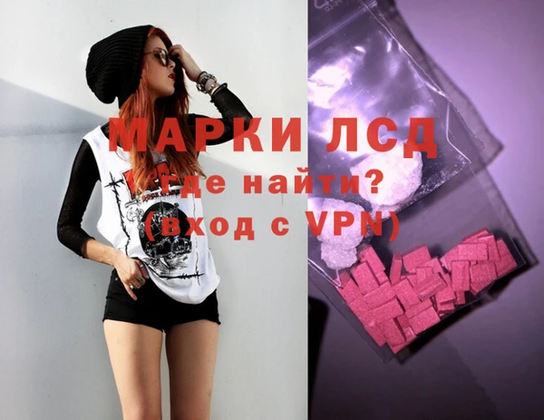 индика Балахна