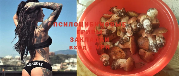 бошки Туринск