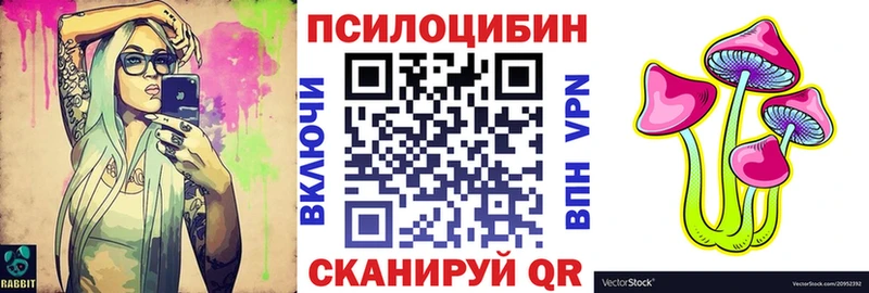 купить   Нюрба  Псилоцибиновые грибы Magic Shrooms 
